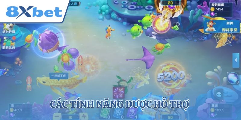 Các tính năng được hỗ trợ